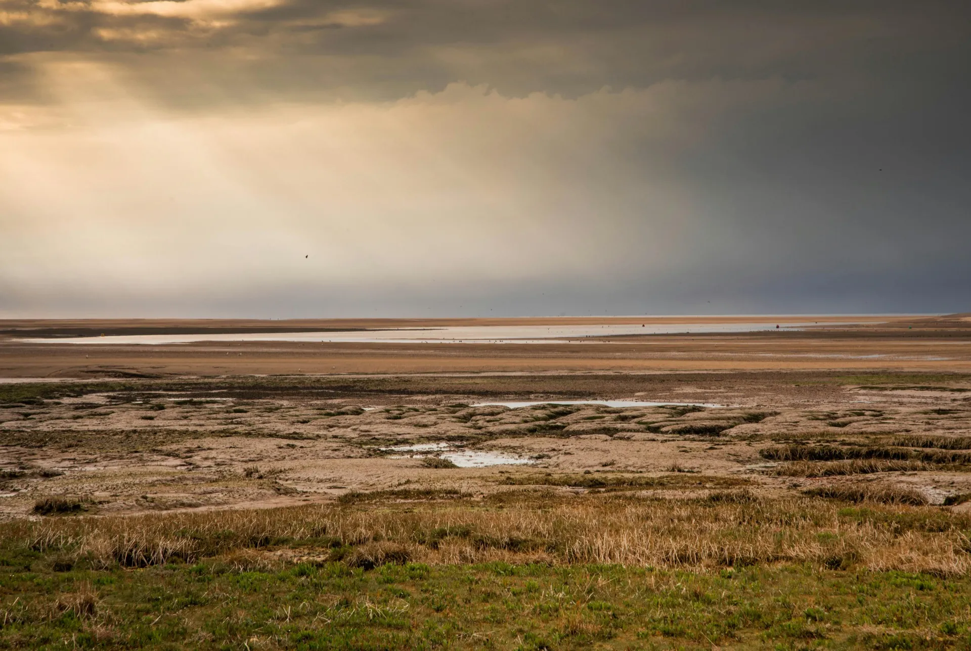 Norfolk countryside landscape